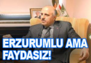 ERZURUM'A ZIRNIK YARARI OLMADI!