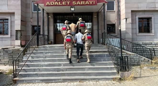 Tekman'da büyükbaş hayvan hırsızları yakalandı