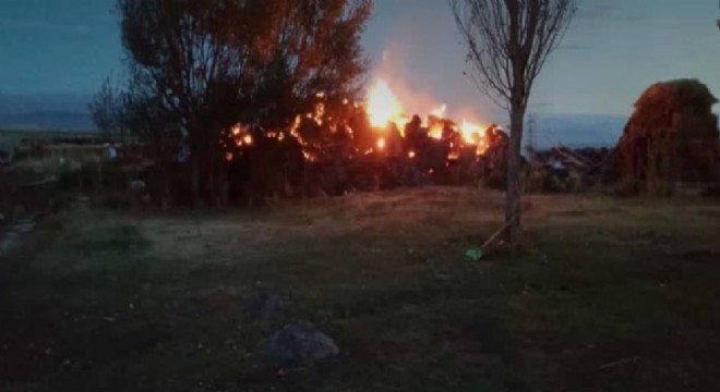 Tekman'da ot yangını