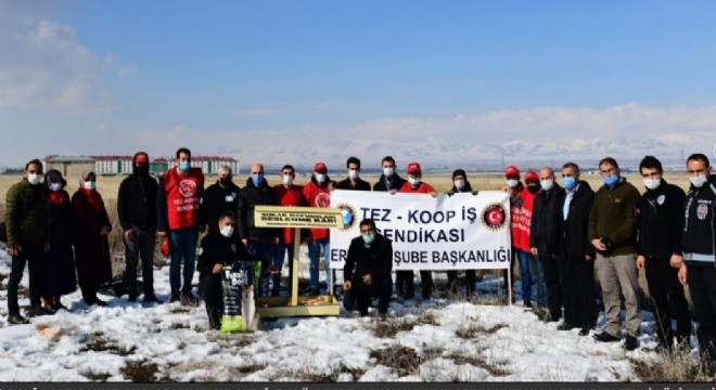 Tez-Koop-İş'ten, ETÜ yaklaşımına destek