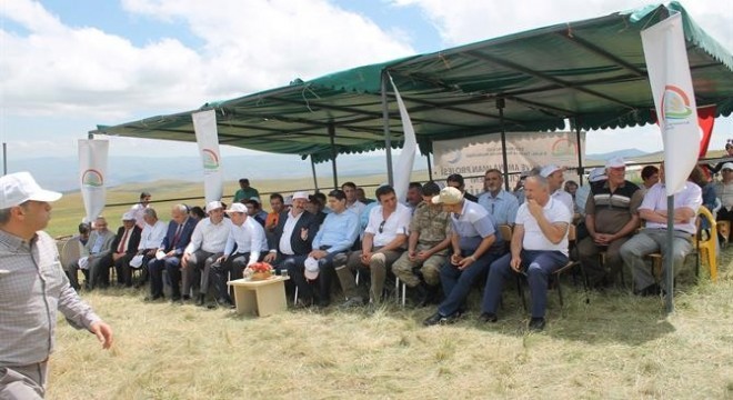 Türkiye meralarının yüzde 11'i Erzurum'da