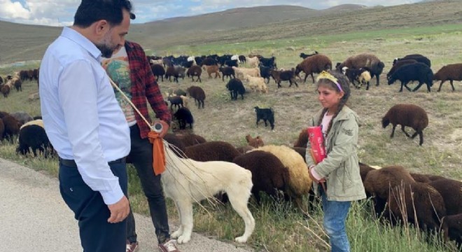 Uçar'dan Çayırtepe istişaresi