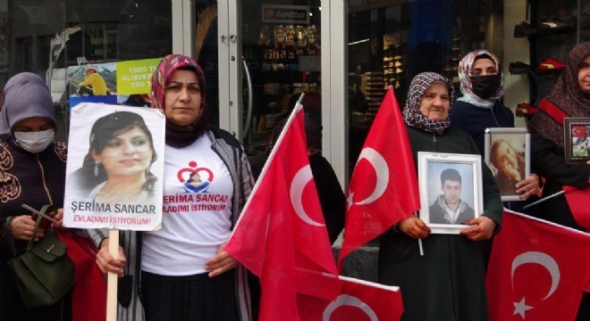 Vanlı ailelerin nöbeti 50'nci haftasına girdi