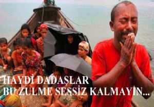 Haydi Dadaşlar....