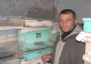 Arıcılıkta kış seferberliği