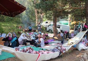 Ayvalı'da festival buluşması