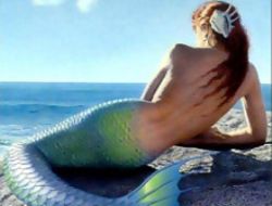 Deniz kızı getirene 1 milyon $