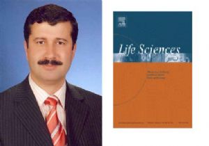 GÜLÇİN'İN BAŞARISI