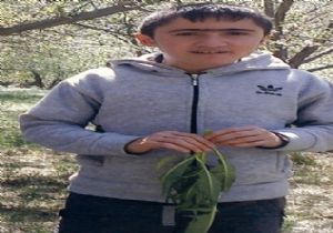 Günal Ailesi yıkıldı..