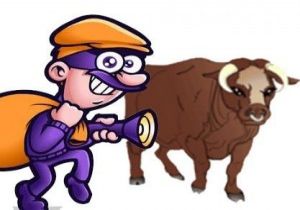 HAYVAN HIRSIZLARI YAKAYI ELE VERDİ