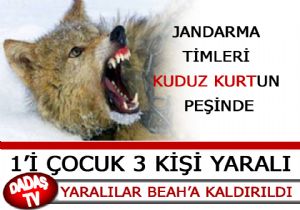 KUDUZ KURT DEHŞETİ