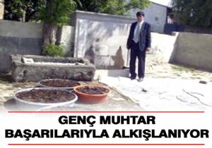 Gençlik böyle birşey!