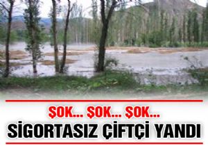 Selzedelere bir kötü haber daha