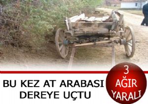At arabası dereye uçtu