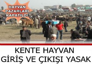 Hayvan Pazarlarına Şap engeli