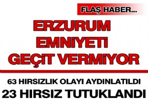 23 hırsız tutuklandı!