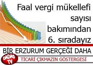 Vergi gerçeği