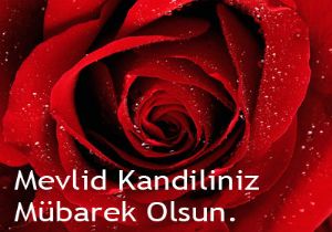 Kandiliniz mübarek olsun