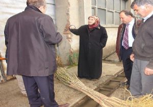 YENİ MEYVE BAHÇELERİ İÇİN...