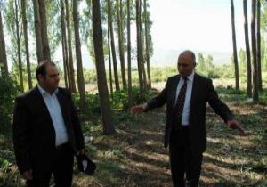 Dumlu'ya Seyirlik Mesire Alanı