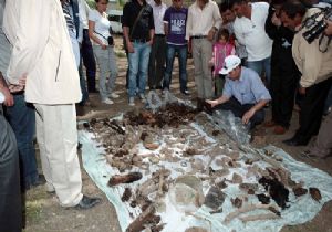 50'den fazla şehid iskeleti...