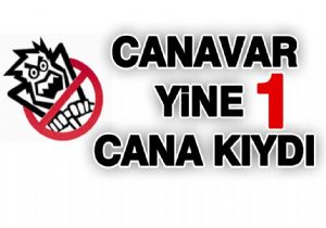 Tortum Yolunda Trafik Kazası