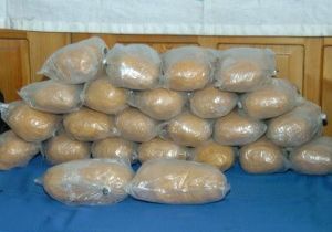 UYUŞTURUCUYA GEÇİT YOK