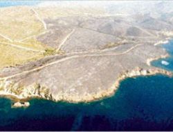 Orman yangınında birinciyiz!