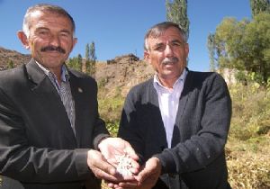 Yanıktaş'tan tanıtım çağrısı