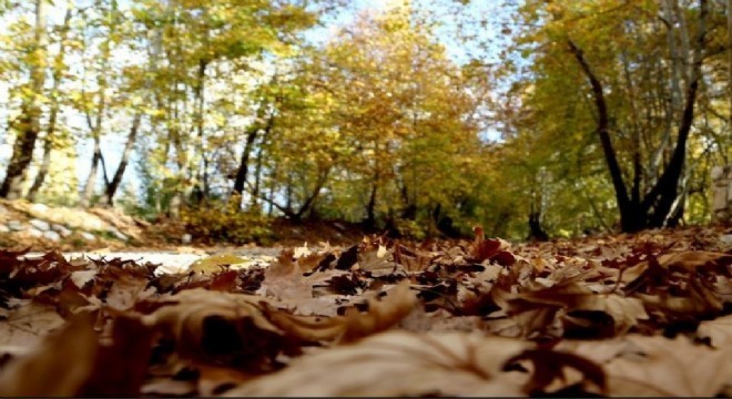 Çarşamba günü kar geliyor