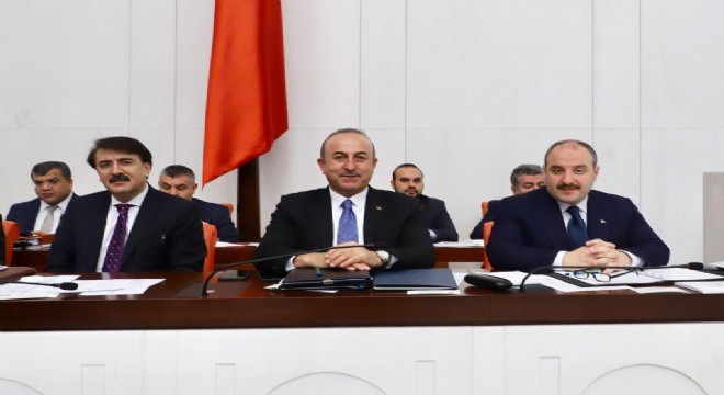 Çavuşoğlu: ‘Bir leş kargası varsa o da YPG/PKK'dir'