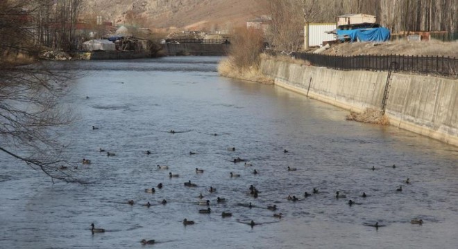 Çoruh'ta görsel şölen