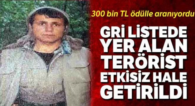 Öldürülen 5 teröristten biri Gri Liste'de