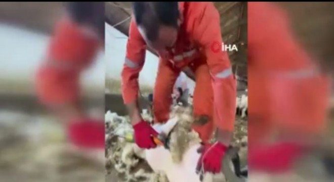 Üretim var, pazar yok