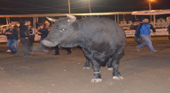 Şampiyon Erzurum'dan çıktı