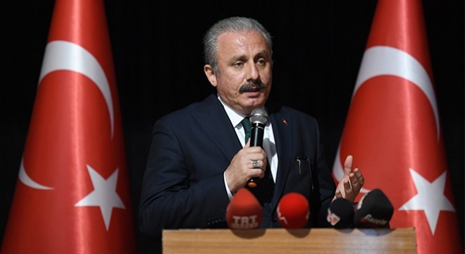 Şentop'tan Milli İrade gururu vurgusu