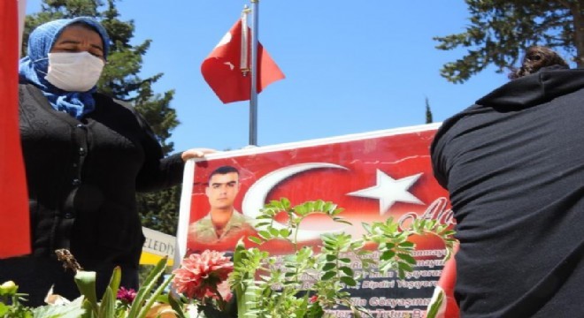 ‘Ha Hdp ha İsrail'