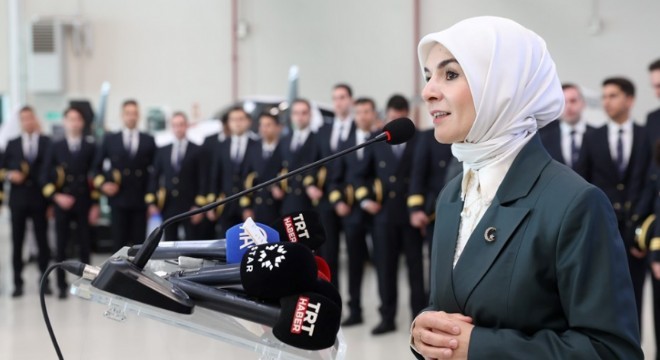 ‘Türkiye'de Kadına Yönelik Şiddet Araştırması'